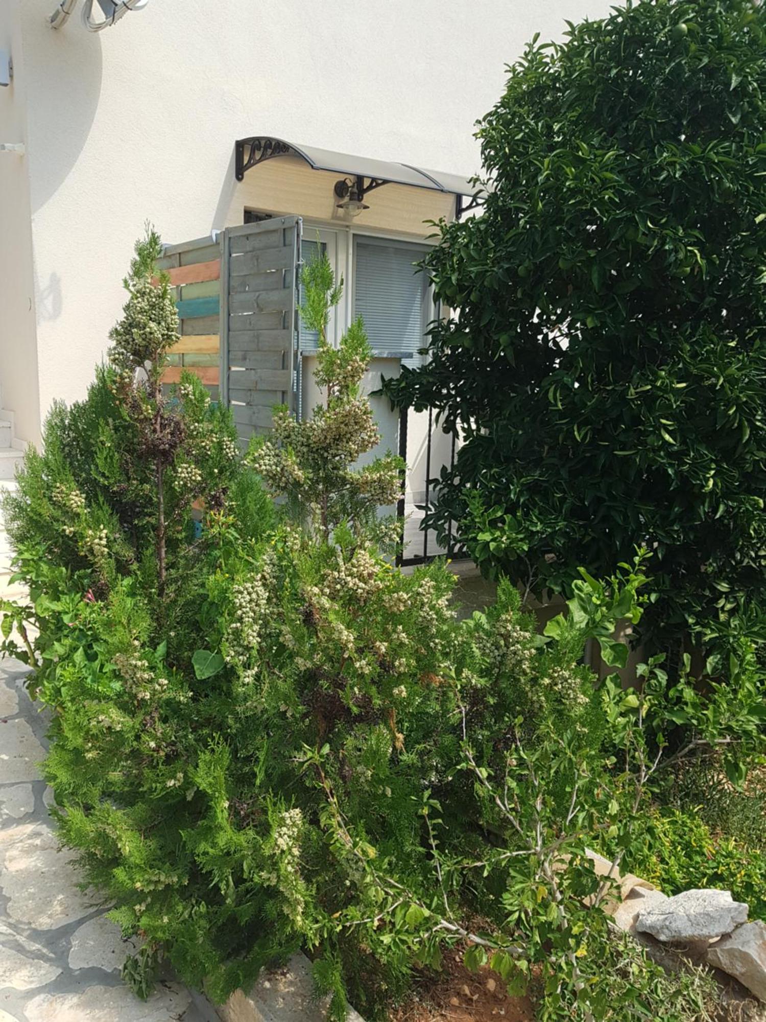Hamo Apartments & Soba Лумбарда Екстериор снимка
